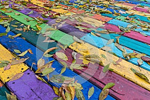 Fallen leaves on a multi-colored wooden boards