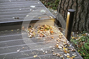 fallen leaves on a patio floor photo