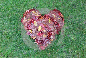 Fallen Leaves Raked into Heart Shape on Green Grass