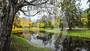 Fallen leaves on road in the forest, autumn landscape, nature trail, river in the park