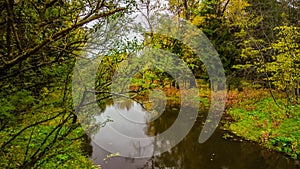 Fallen leaves on road in the forest, autumn landscape, nature trail, river in the park