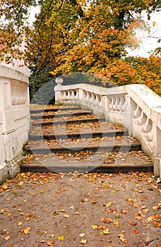 Fallen leaves on stone staircase