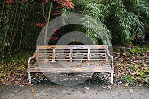 Fallen leaves on wooden bench in empty park autumn background. Bench in autumn landscape