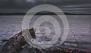 Fallen log in a lakeside view landscape