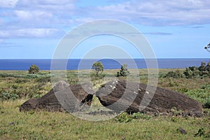 Fallen moui at the Easter Island, Chile.