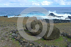 Fallen moui at the Easter Island, Chile.