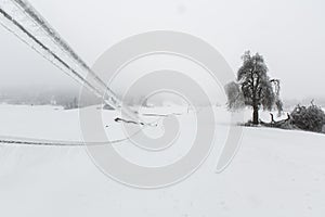 Fallen pylons and trees covered with sleet and ice