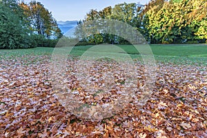 Fallen red leaves on green grass, blue sea and mountains