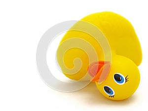 Fallen rubber duckie photo