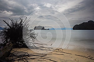 Fallen tree on the beach of Pantai Tanjung Rhu on the malaysia island Langkawi. Clouds over the bay. Silky water. Silk effect in