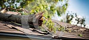 fallen tree branch on damaged house roof after hurricane. property insurance. banner