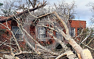Fallen Tree on Brick House