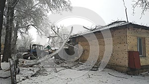 Fallen tree on a building in winter