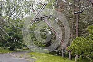 Fallen tree damaged power lines in the aftermath of severe weather and tornado in Ulster County, NY