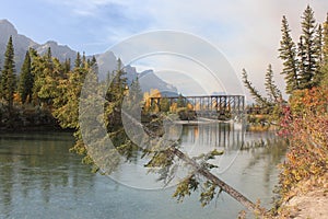 Fallen tree in front of Engine Bridge, Canmore, Alberta!