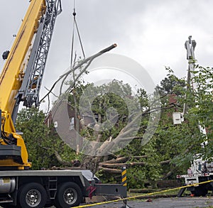 Hurricane tornado storm devastation photo