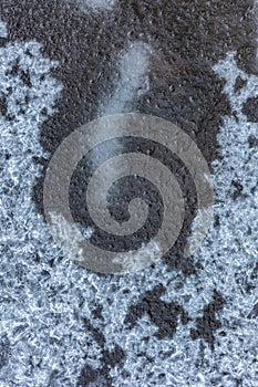 A fallen tree leaf lies on an icy surface. Ice background