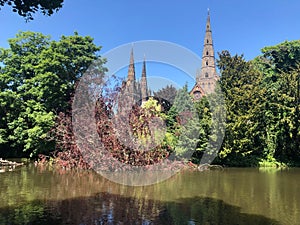 Fallen tree in Minster Pool Lichfield