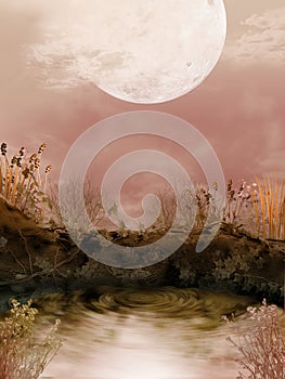 Fallen Tree by a Pond