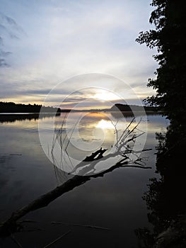 Fallen Tree Reflection in Water During Sunset Over Beautiful Lake with Cloudy Sky in background