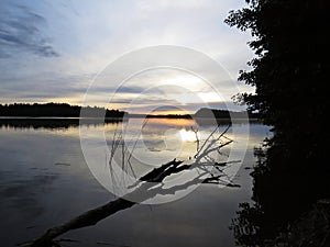 Fallen Tree Reflection in Water During Sunset Over Beautiful Lake with Cloudy Sky in background