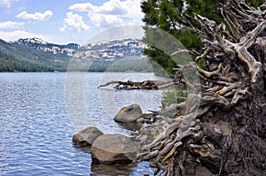 Jackson Meadow Reservoir