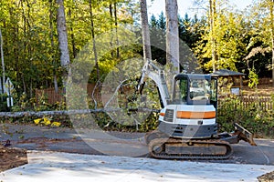 A fallen tree after a storm damaged a fence after the hurricane in uprooted trees fell on the street and had to be