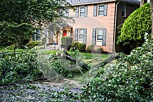 Fallen tree - wind damage is cleared after blocking road