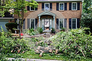 Fallen tree - wind damage is cleared after blocking road