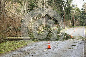 Fallen trees and downed power lines blocking a road; hazards after a natural disaster wind storm
