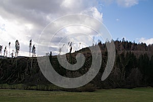 Fallen trees after the first storms in the year 2022 near the german city called Bad Berleburg