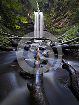 Fallen trees at Henrhyd waterfall