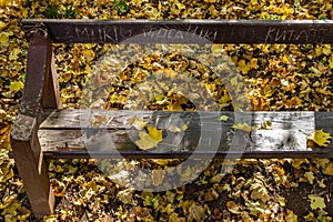 Fallen yellow leaves on the bench