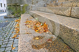 Fallen yellowed leaves lie on the steps in the city
