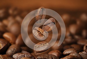 Falling aromatic roasted coffee beans, closeup view