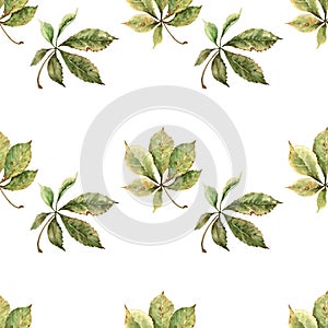 Falling autumn chestnut leaves. Seamless botanical pattern. Hand drawn watercolor illustration on white background.