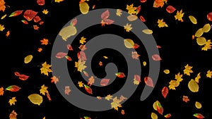 Falling autumn leaves backgrounds