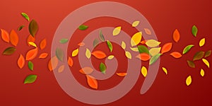 Falling autumn leaves. Red, yellow, green, brown c