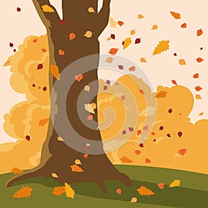 Falling autumn leaves and tree