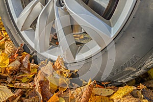 Falling autumn leaves under car tires in autumn. Dangerous foliage under car tires in autumn.Winter tires.