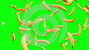 Falling bananas on alpha green screen background for keying