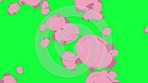 falling bank pigs group animation green screen chroma key