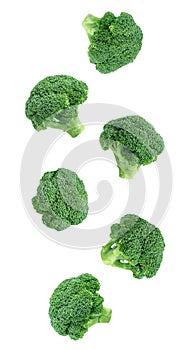 Falling broccoli isolated on a white background. Flying vegetables for packaging design