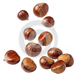 Falling chestnuts isolated on white background