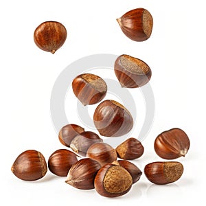 Falling chestnuts isolated on white background