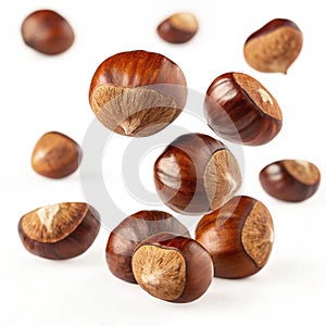Falling Chestnuts Realistic Nuts