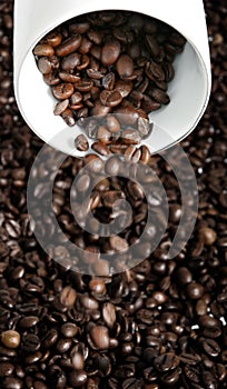 Falling coffee beans