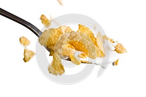 Falling cornflakes on the spoon with milk