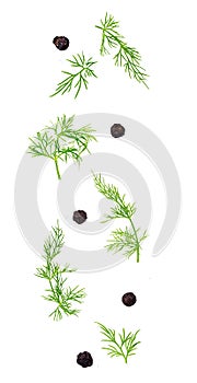 Falling dill leaves and black pepper grains isolated on white