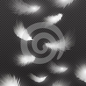 Falling down realistic white feathers isolated on black background vector illustration